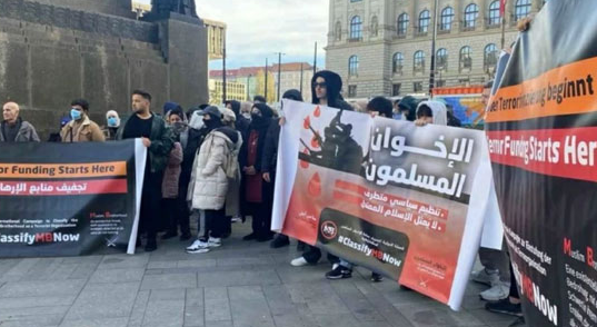 تصنيف الإخوان جماعة إرهابية، فيتو