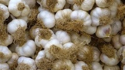 فوائد الثوم فى مقاومة السرطان&nbsp;