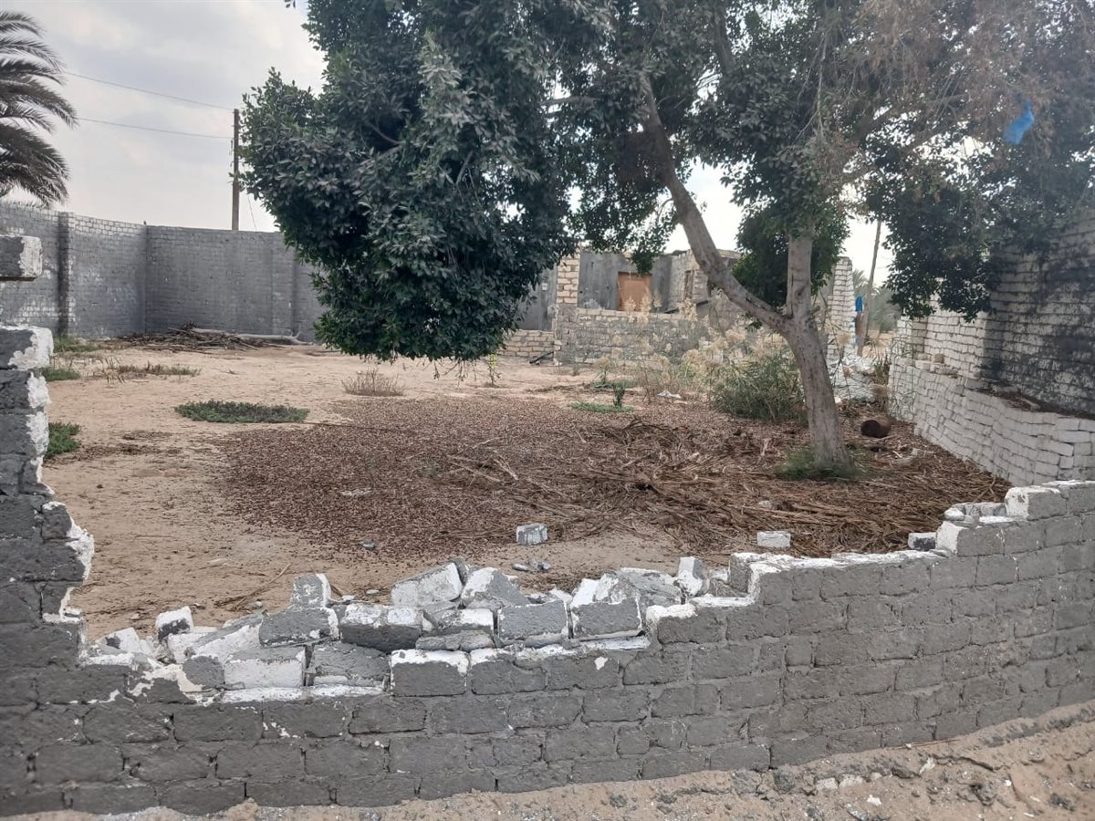 جانب من الحملات،فيتو