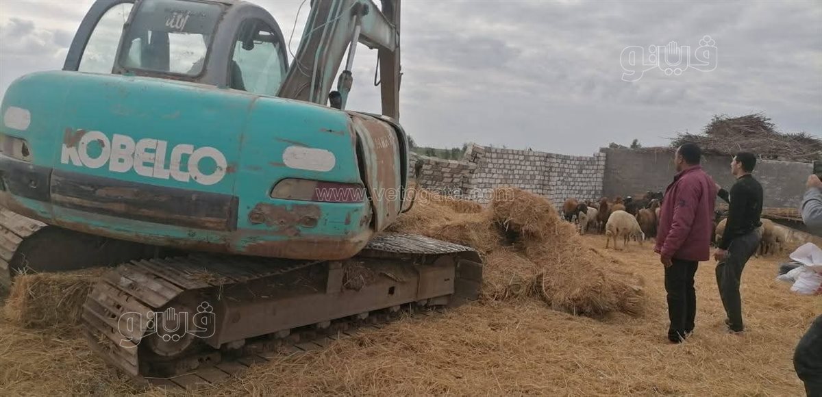 إزالة 6 مبانٍ من التعديات على الاراضي ببورسعيد، فيتو