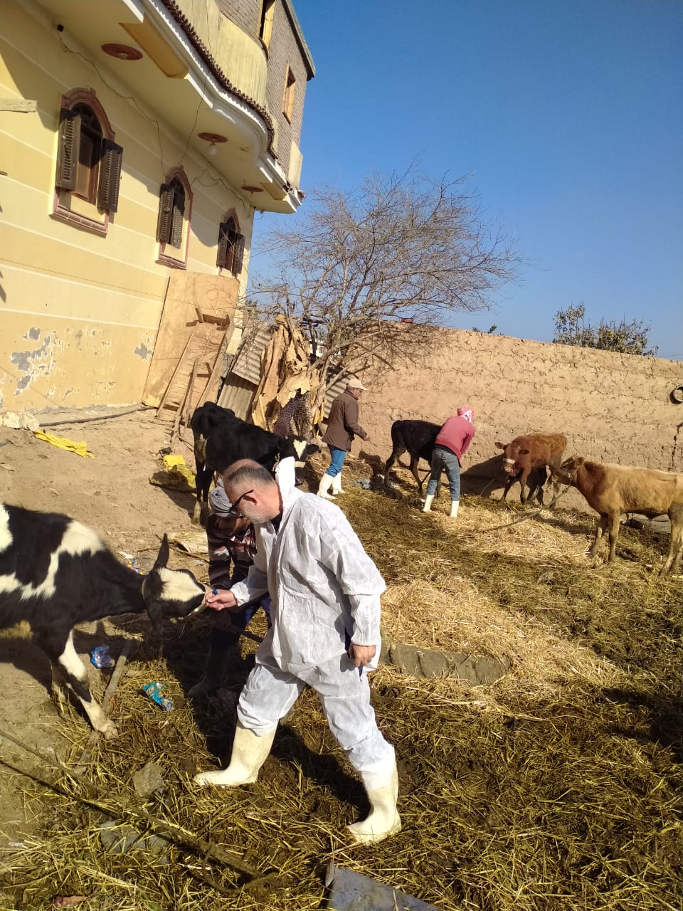 جانب من حملة التحصين، فيتو