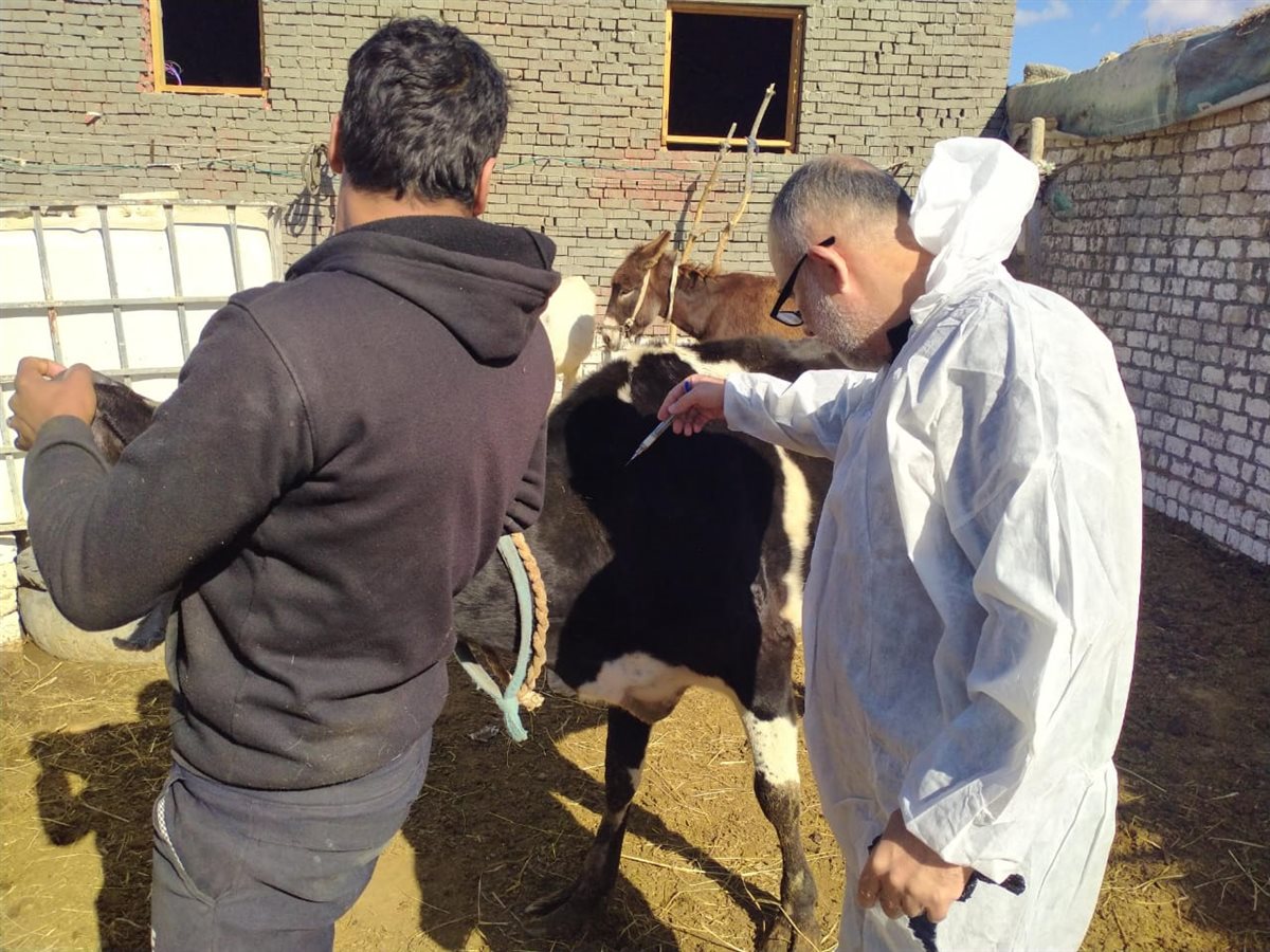 جانب من حملة التحصين، فيتو