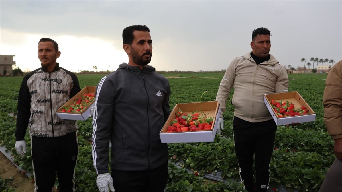 جانب من الجولة،فيتو