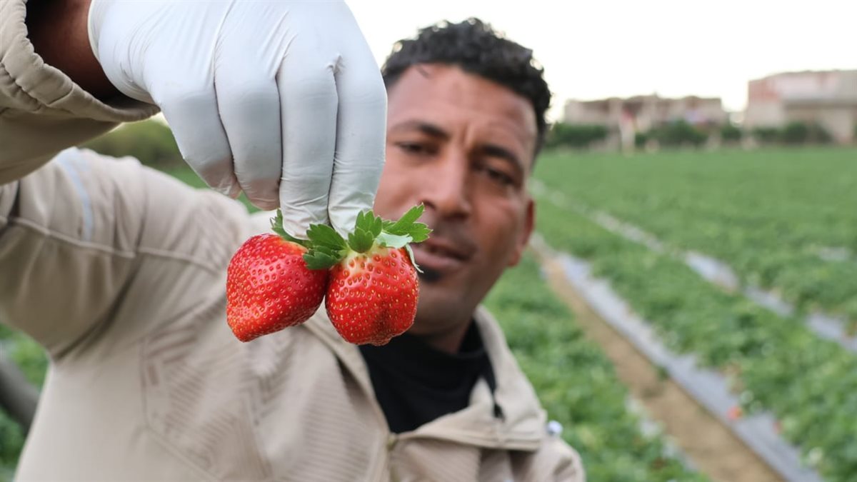 جانب من الجولة،فيتو