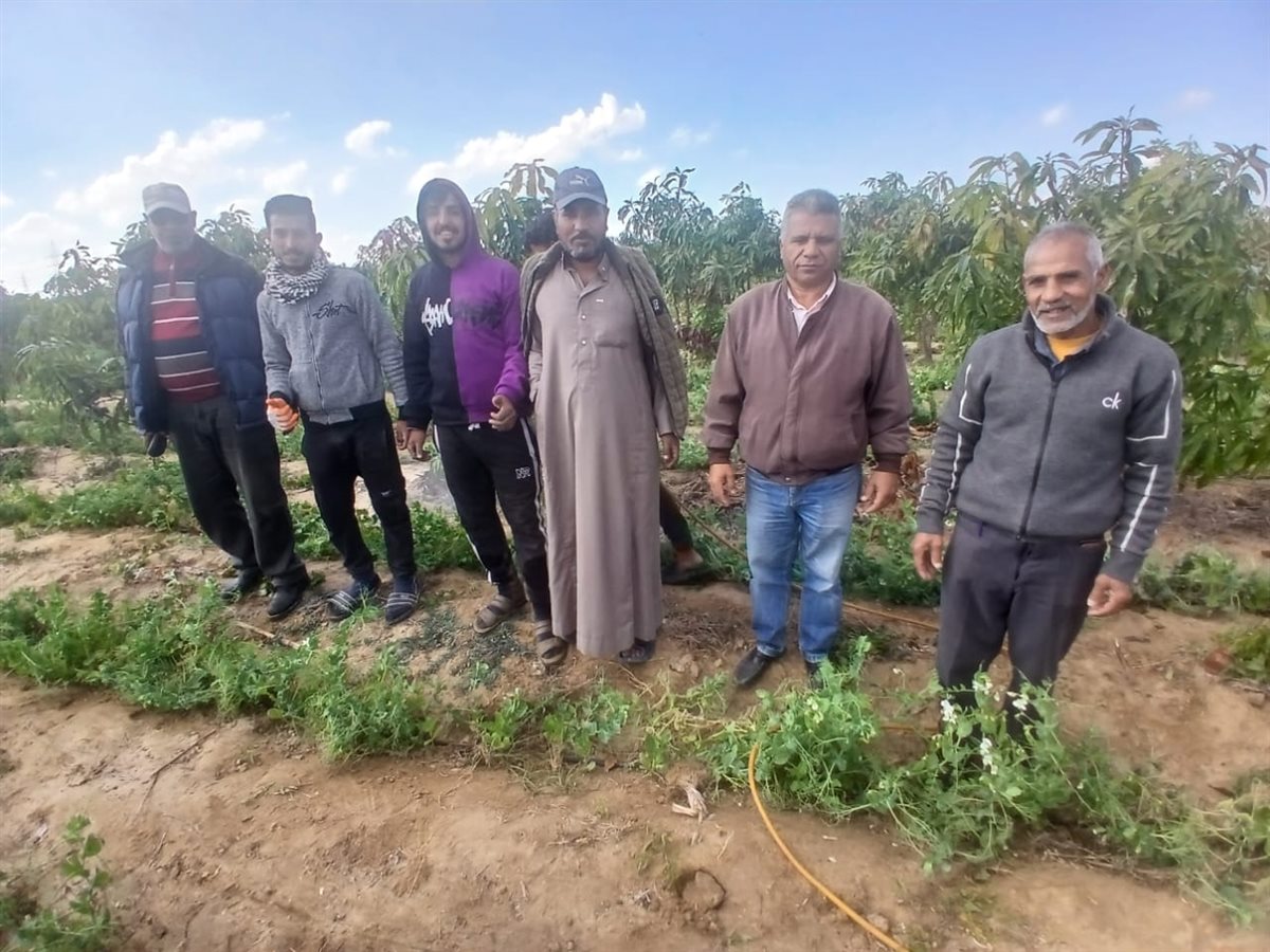 جانب من متابعة المحاصيل الحقلية، فيتو