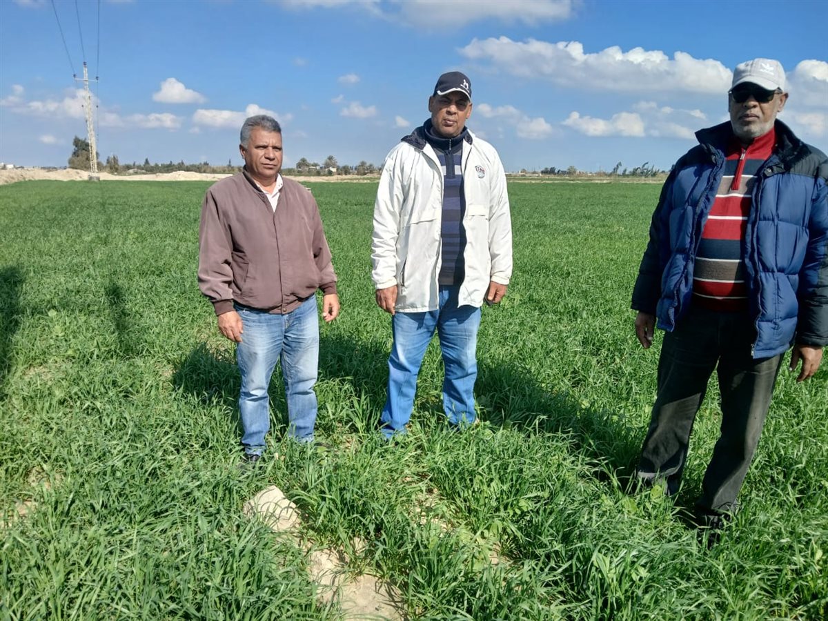 جانب من متابعة المحاصيل الحقلية، فيتو