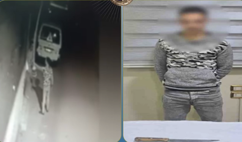 ضبط متهم تعدى بسلاح أبيض على آخر بالمنوفية