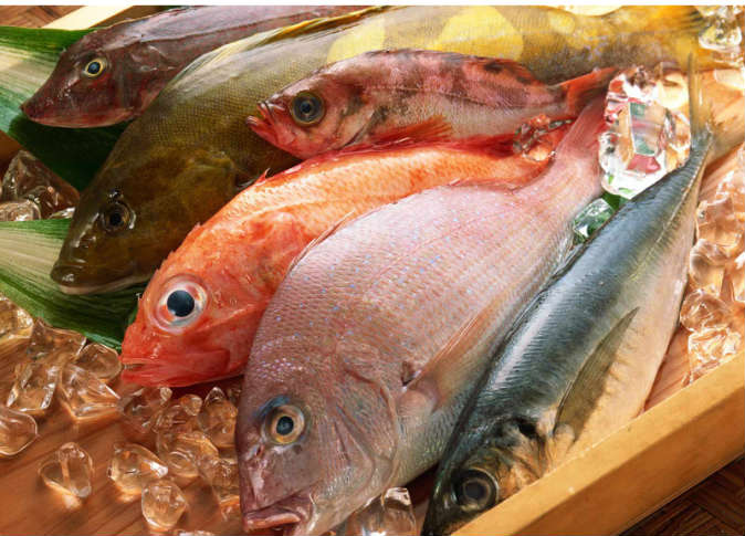 سعر السمك اليوم، فيتو