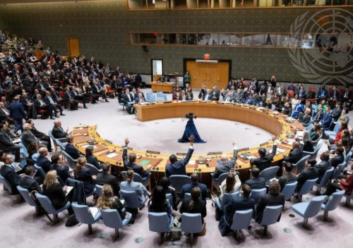 مجلس السلام يحل النزاعات بعيدًا عن مجلس الأمن، فيتو