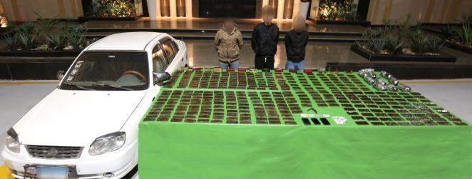 بقيمة 52 مليون جنيه.. مصرع 3 عناصر إجرامية عقب تبادل اطلاق النيران وضبط مخدرات وأسلحة نارية