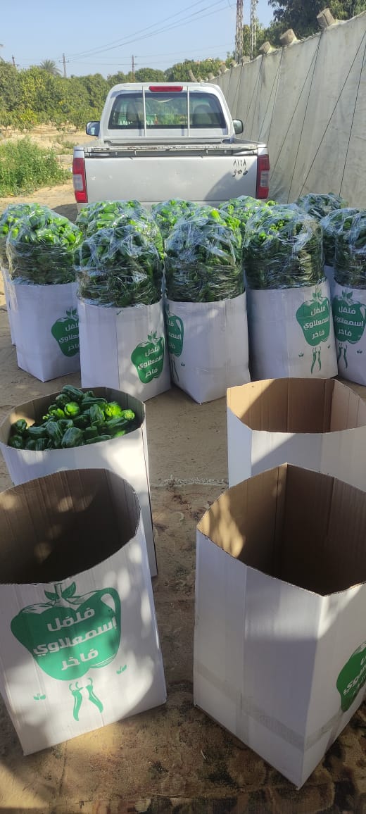 جانب من المرور على زراعات الإسماعيلية، فيتو