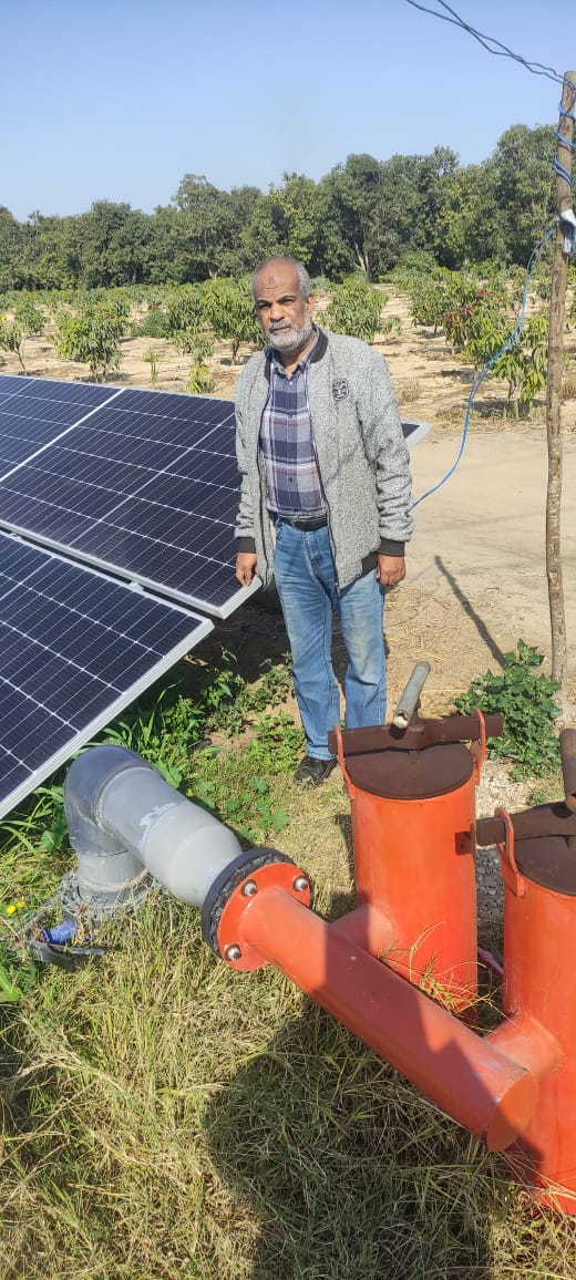 جانب من المرور على زراعات الإسماعيلية، فيتو