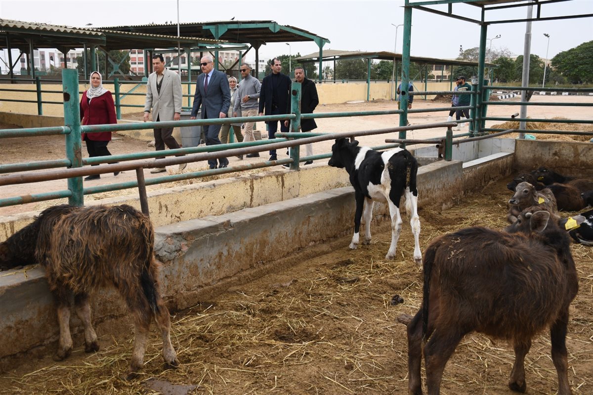 جانب من الجولة، فيتو