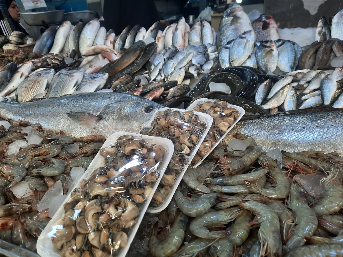 الأسماك بسوق السمك بالإسماعيلية، فيتو