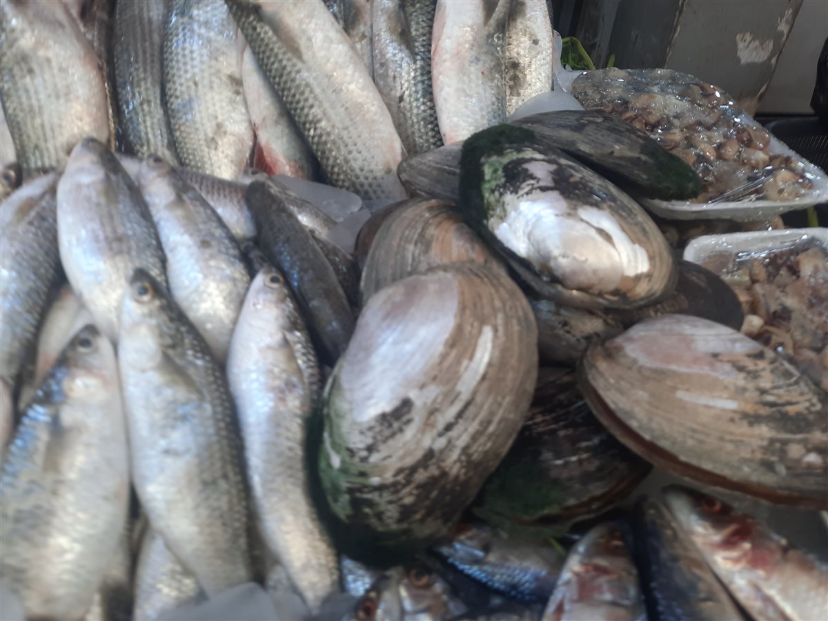 الأسماك بسوق السمك بالإسماعيلية، فيتو