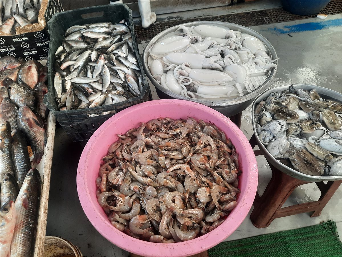 الأسماك بسوق السمك بالإسماعيلية، فيتو