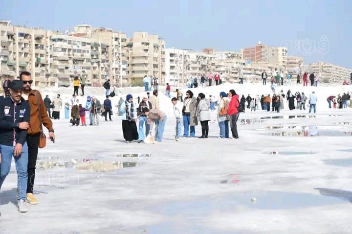 جبال الملح بمدينة بورفؤاد، ڤيتو