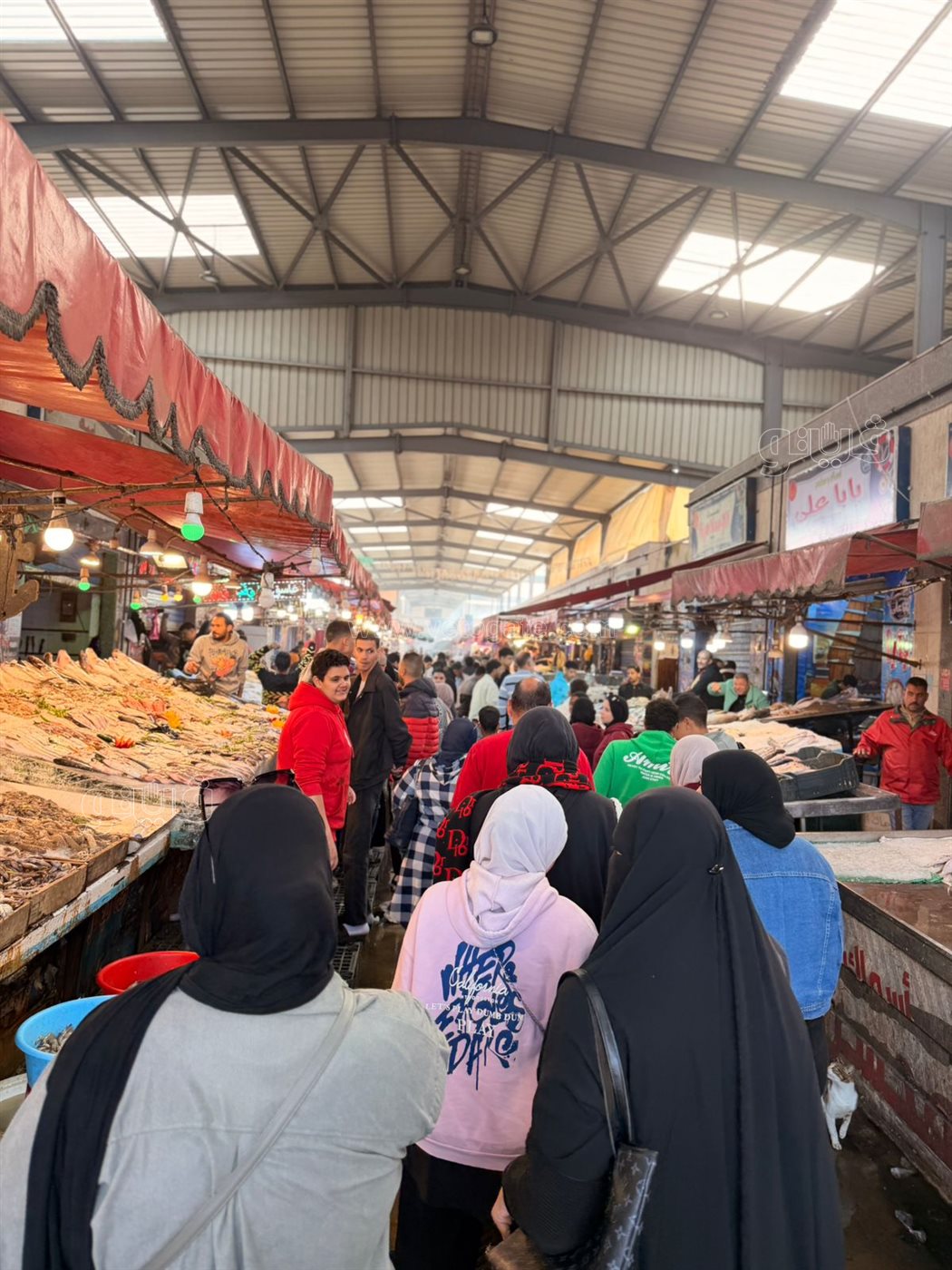 الألاف يزورون بورسعيد في عطلة نهاية الأسبوع، ڤيتو