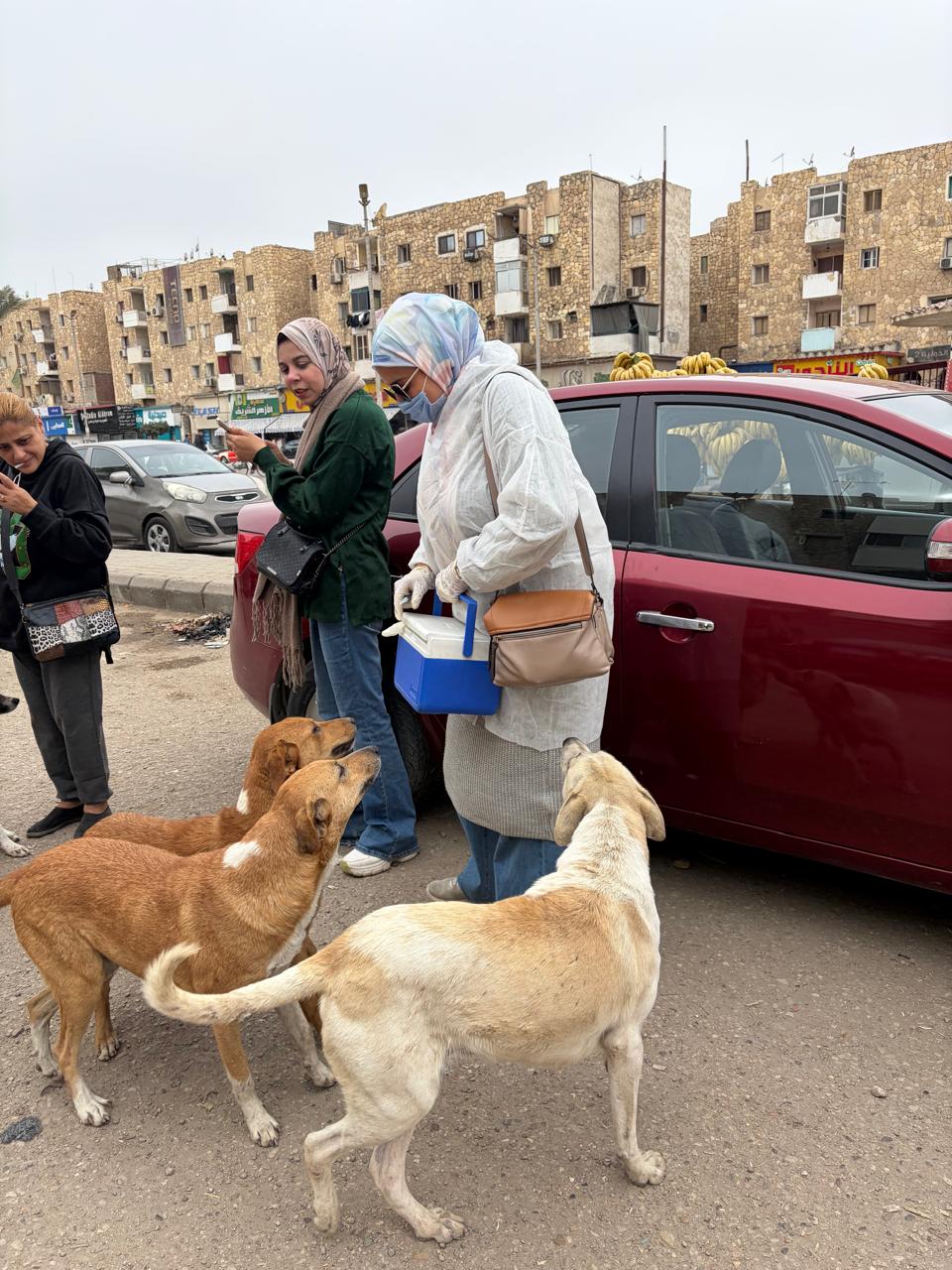 جانب من الحملة، فيتو