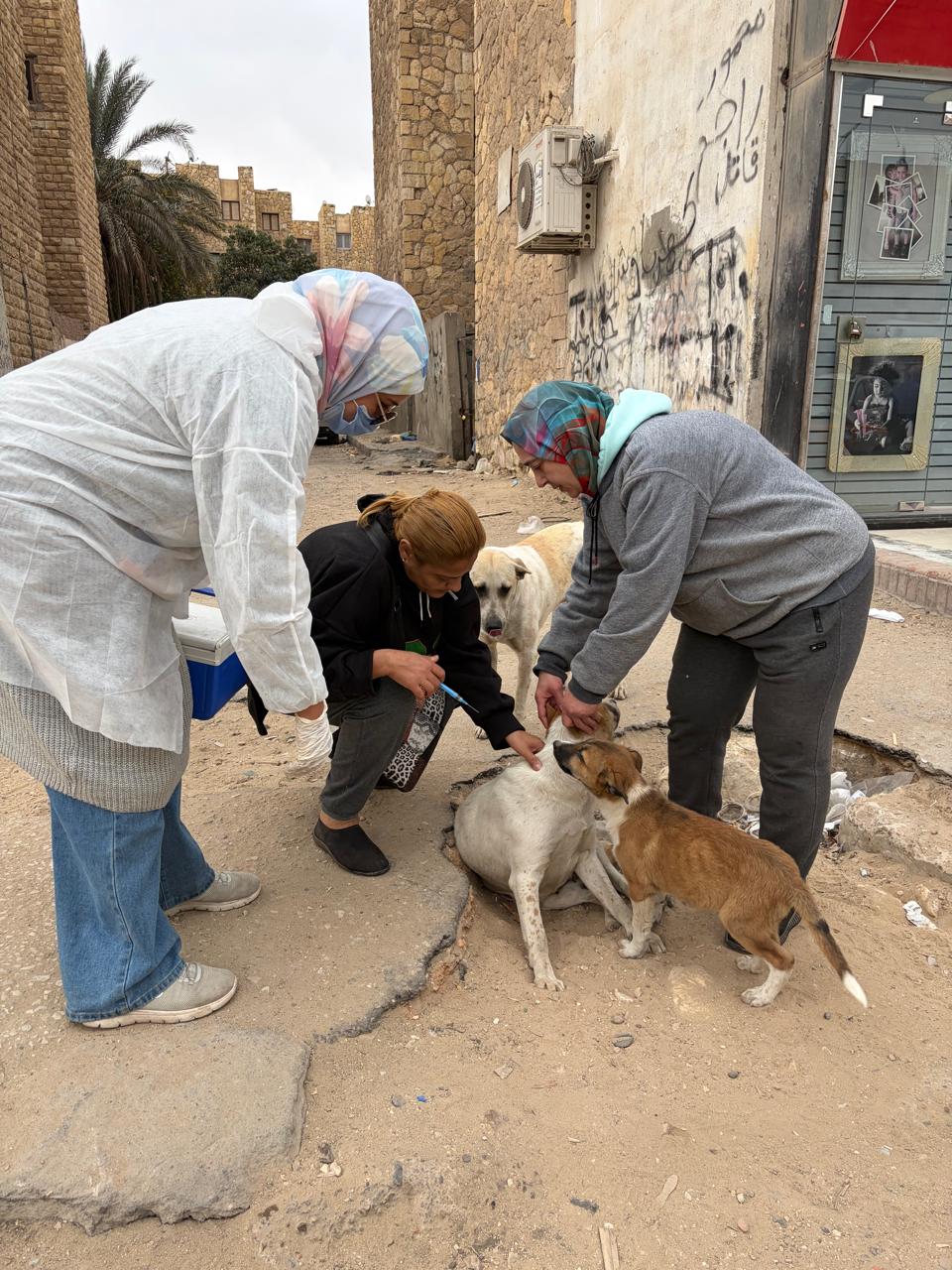 جانب من الحملة، فيتو