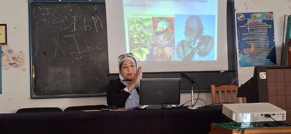 جانب من فاعليات البرنامج، فيتو