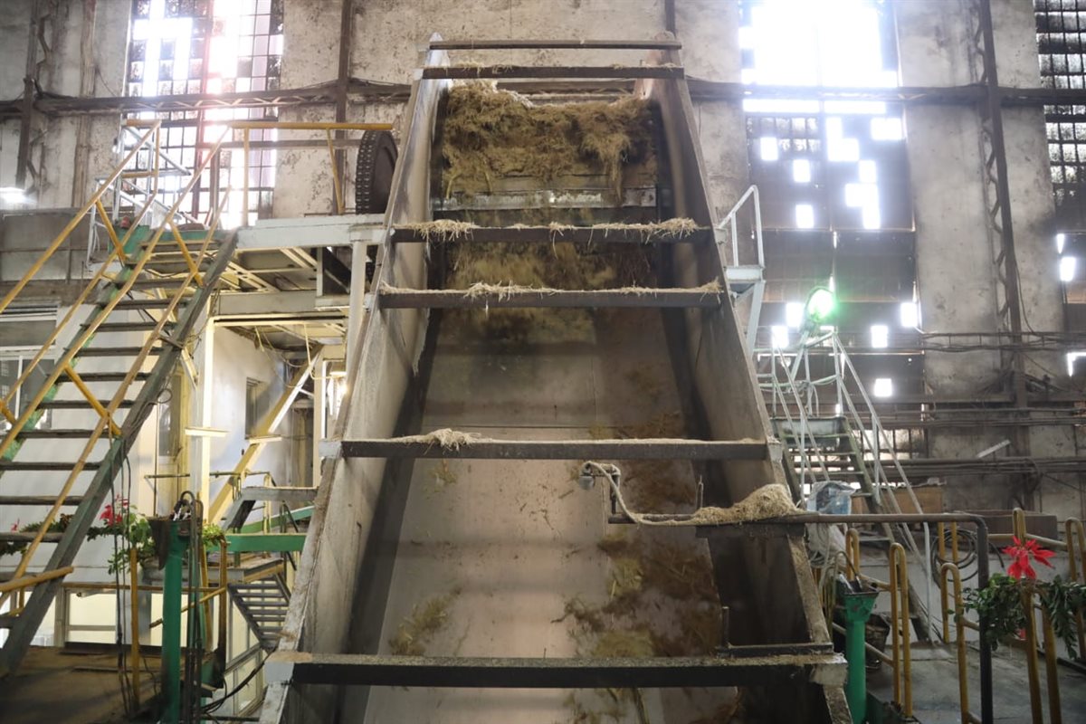 محافظ قنا يفتتح موسم عصير القصب لعام 2026