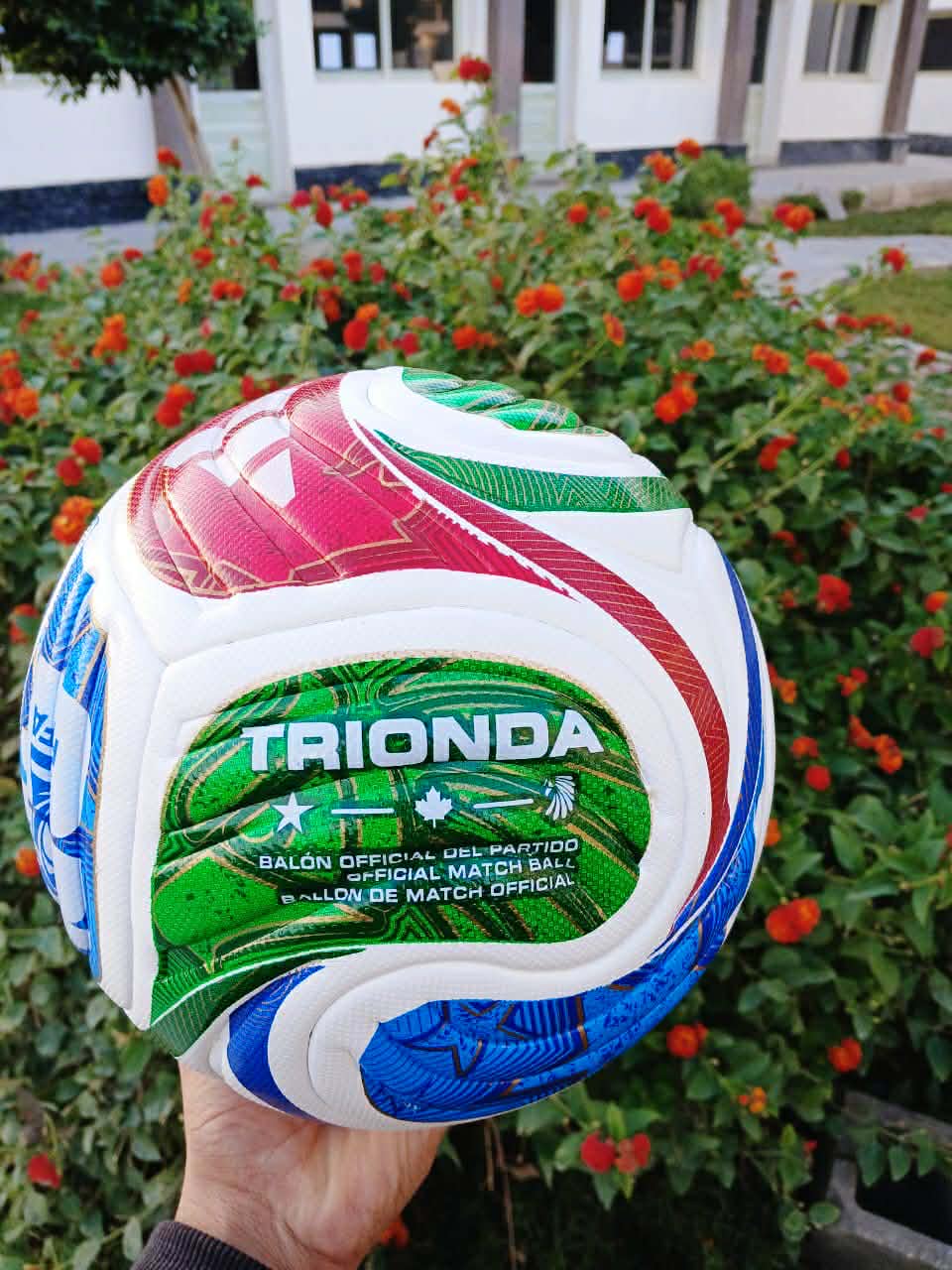 مصنع لانتاج الكور في مصر&nbsp;