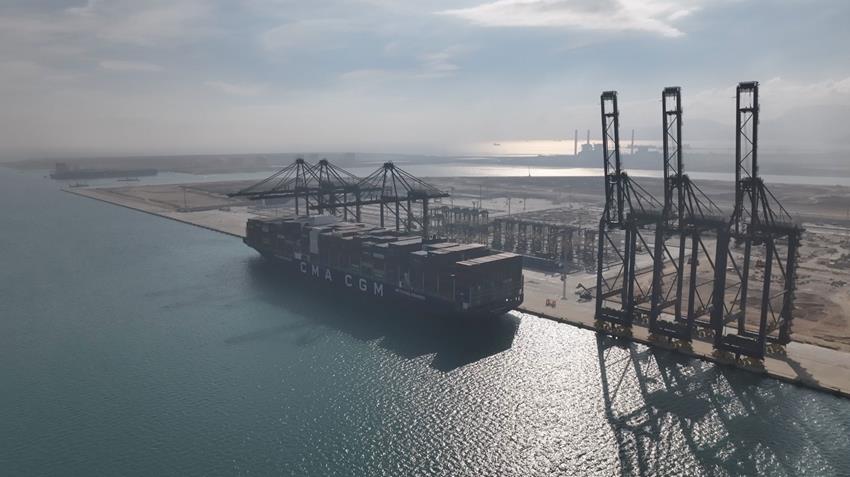 &nbsp;محطة البحر الأحمر لتداول الحاويات&nbsp;