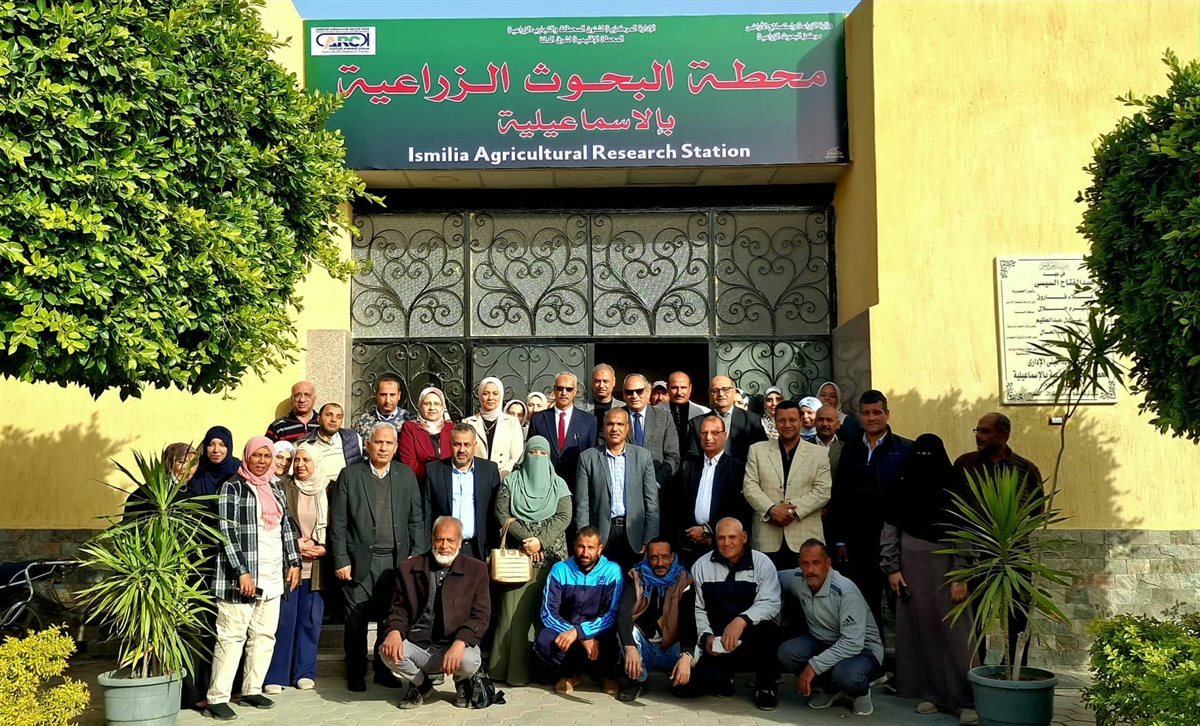 جانب من الحملات، فيتو