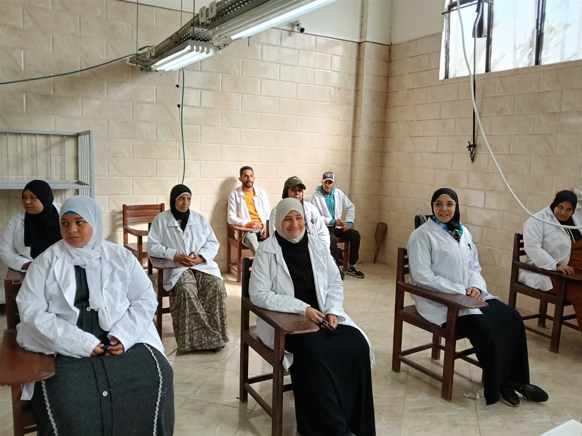 جانب من الاختبارات، فيتو