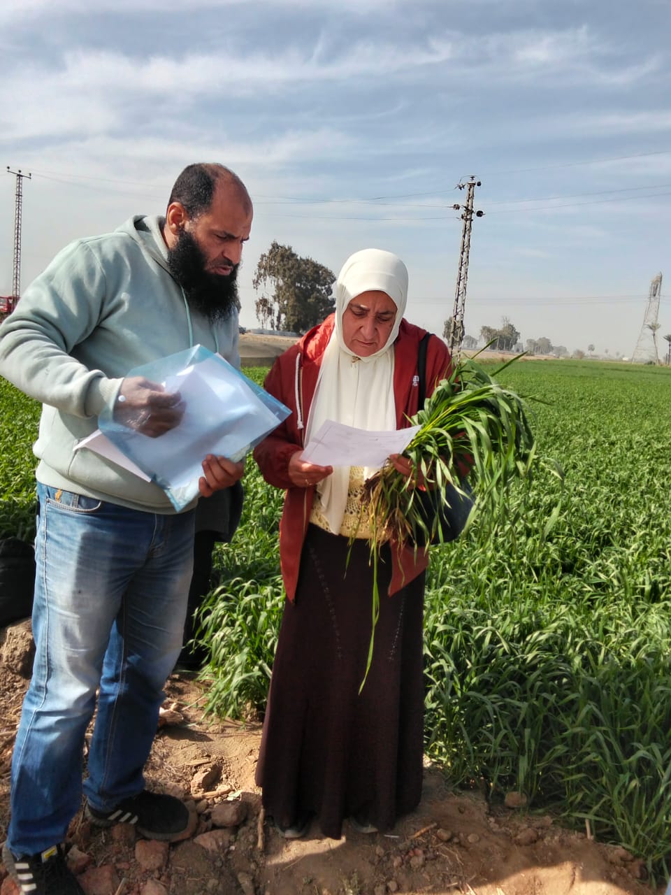 جانب من فاعليات قافلة الإصحاح البيئي، فيتو