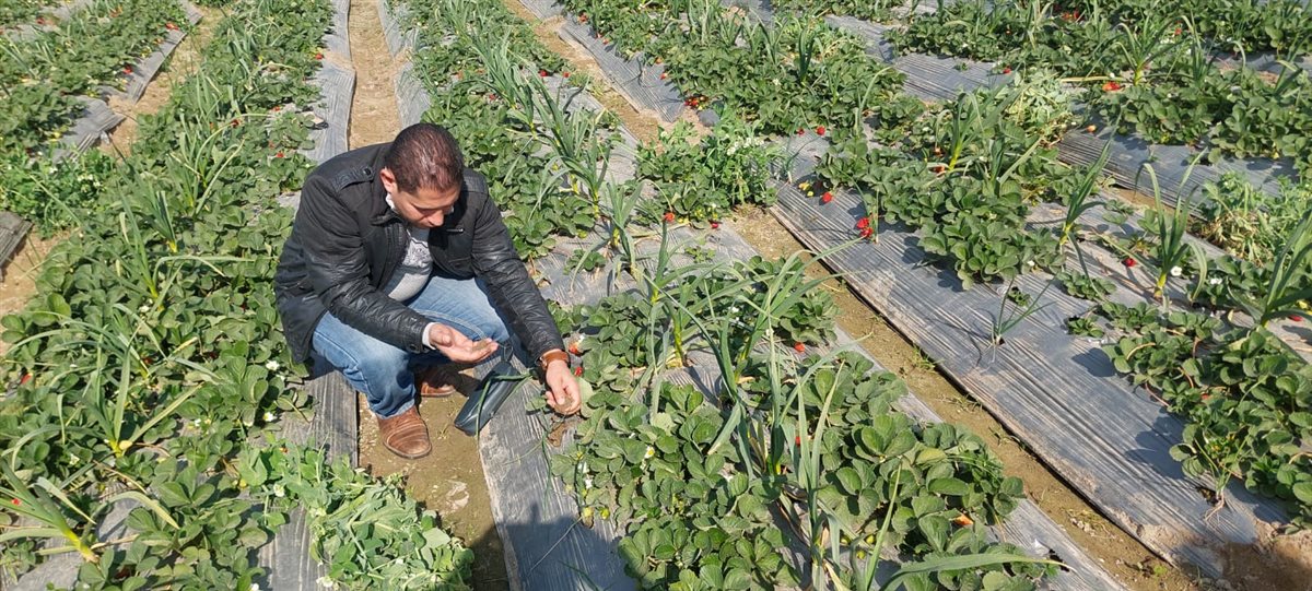 جانب من فاعليات قافلة الإصحاح البيئي، فيتو