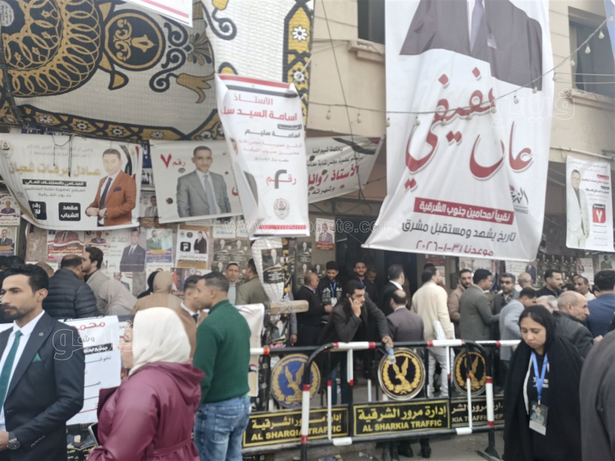 انتخابات نقابة المحامين بالشرقية،فيتو