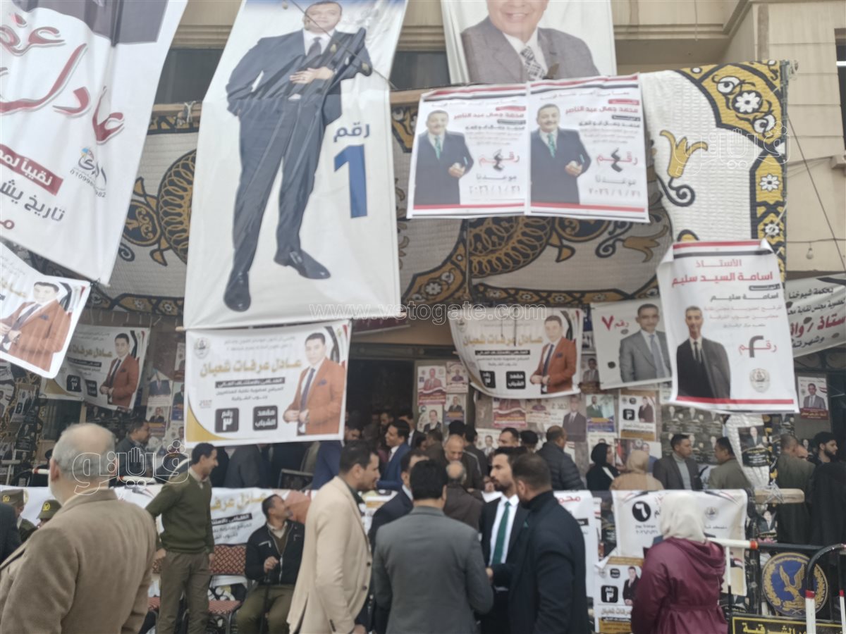 انتخابات نقابة المحامين،فيتو