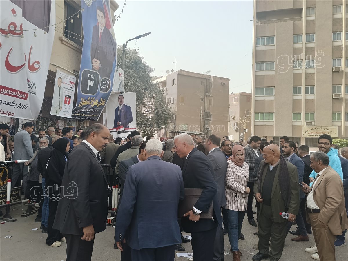 انتخابات نقابة المحامين،فيتو