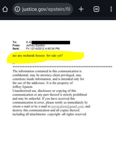 <strong>ملفات إبستين، فيتو</strong>