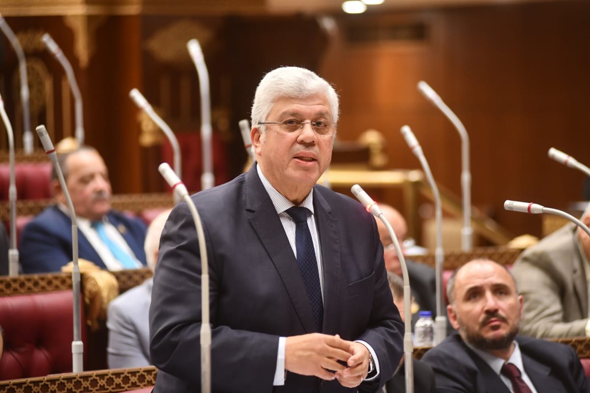 الدكتور أيمن عاشور أمام جلسة الشيوخ