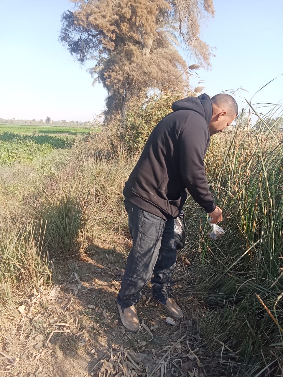 زراعة الفيوم تطلق موجة جديدة من حملة مكافحة القوارض