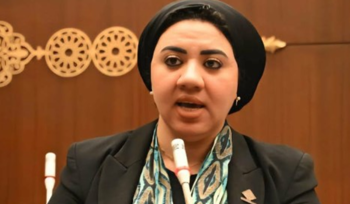 النائبة أميرة صابر قنديل ومقترح التبرع بالجلود، فيتو