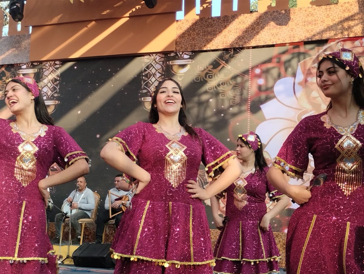 جانب من مشاركة الفرقة بعروض المهرجان،فيتو