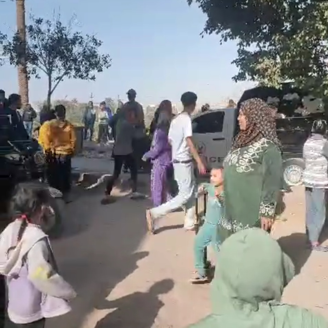 العثور على أجنة داخل جوال في المنيا، فيتو&nbsp;
