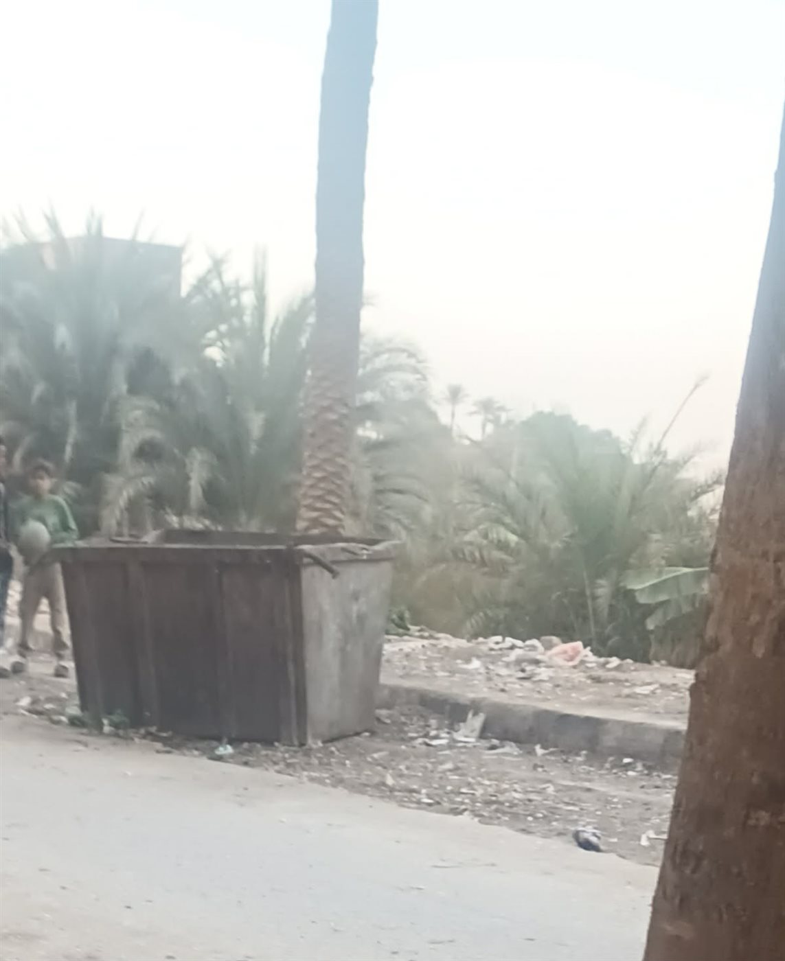 العثور على أجنة داخل جوال في المنيا، فيتو&nbsp;