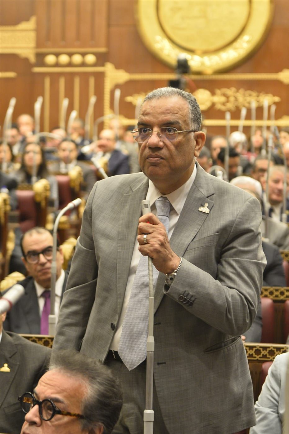 الدكتور محمود مسلم