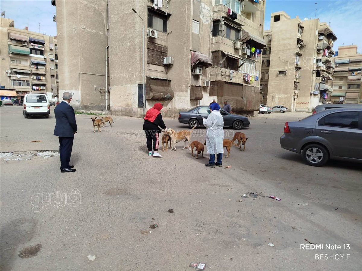 حملة لتحصين الكلاب ضد السعار ببورسعيد، ڤيتو