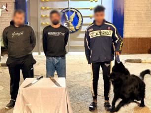 مشاجرة بالأسلحة البيضاء وسيدة بصحبتها كلب في المنوفية.. والأمن يكشف التفاصيل الفيديو