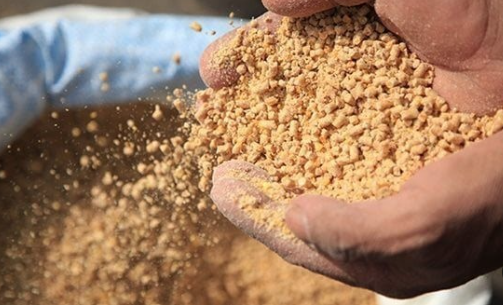 زيادة أسعار الأعلاف، فيتو