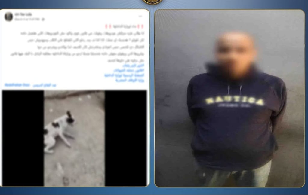 القبض على سائق اعتدى على كلب ضال بالبساتين بعد تداول فيديو على مواقع التواصل