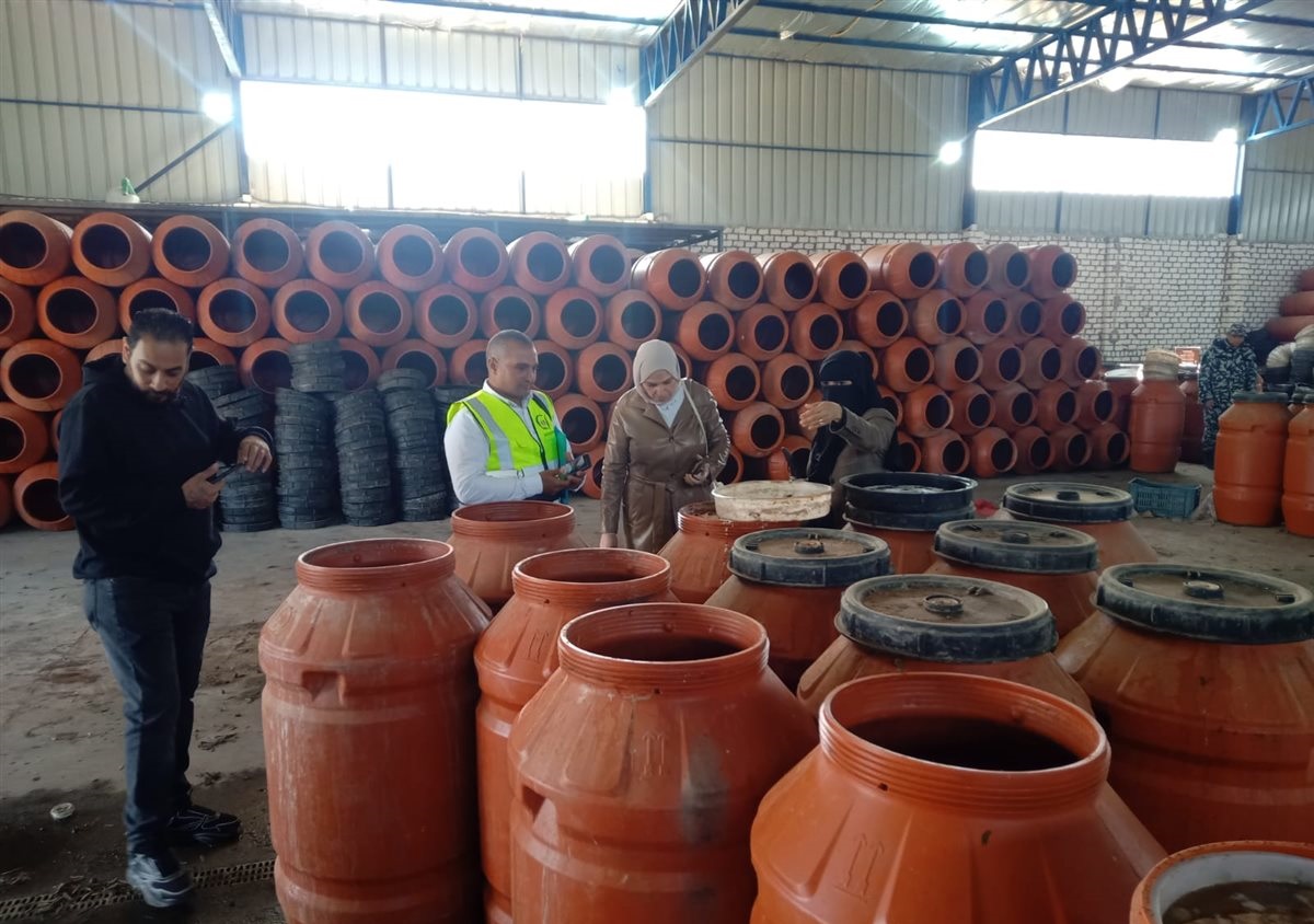 ضبط 283 طن زيتون غير صالح للاستهلاك الآدمي بالإسماعيلية