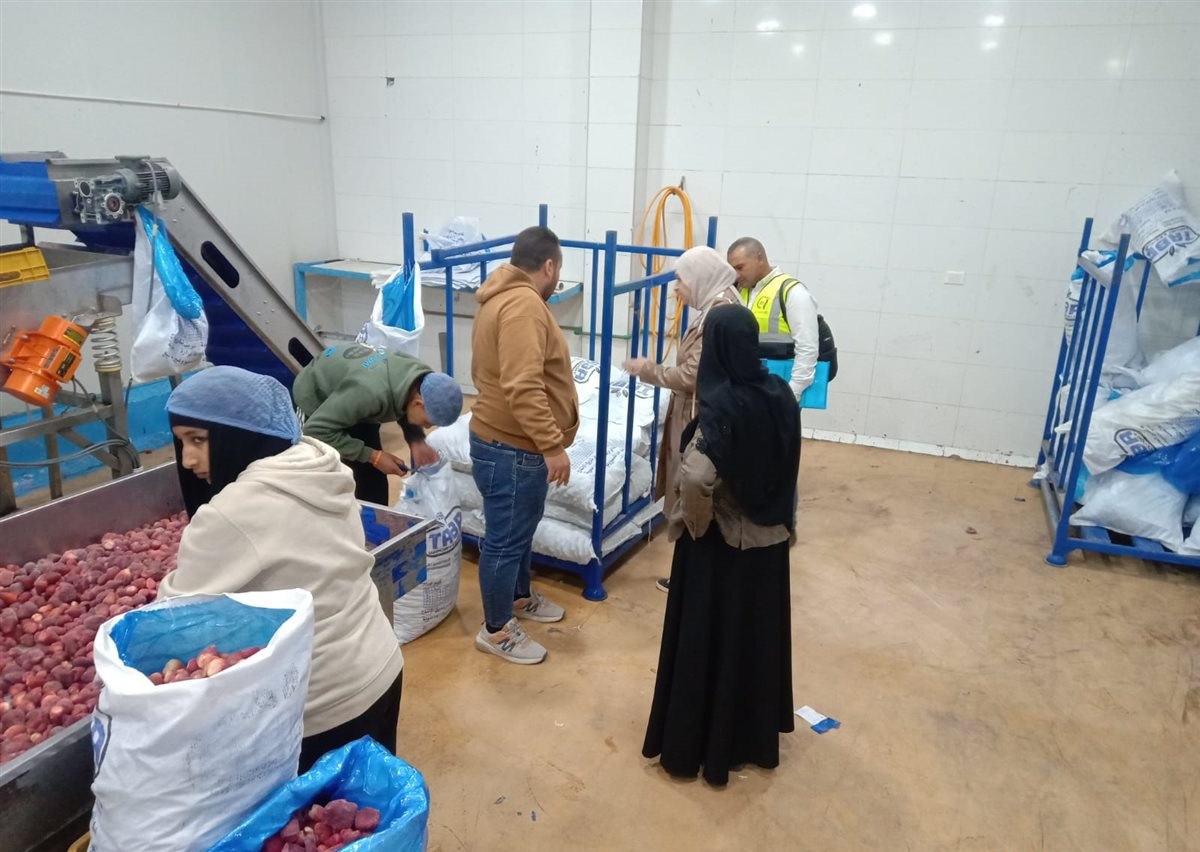 ضبط 283 طن زيتون غير صالح للاستهلاك الآدمي بالإسماعيلية