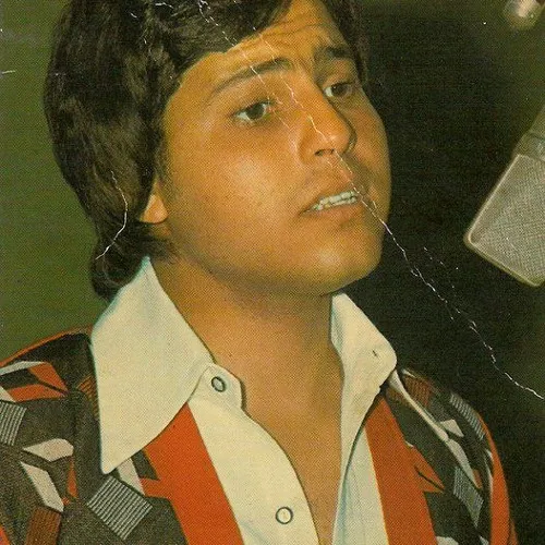 هاني شاكر، فيتو